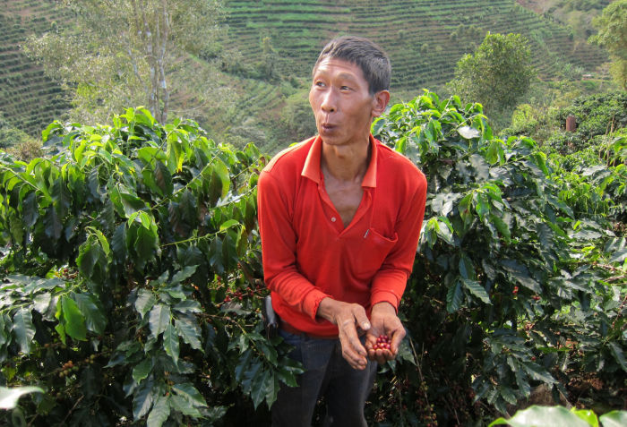 China coffee